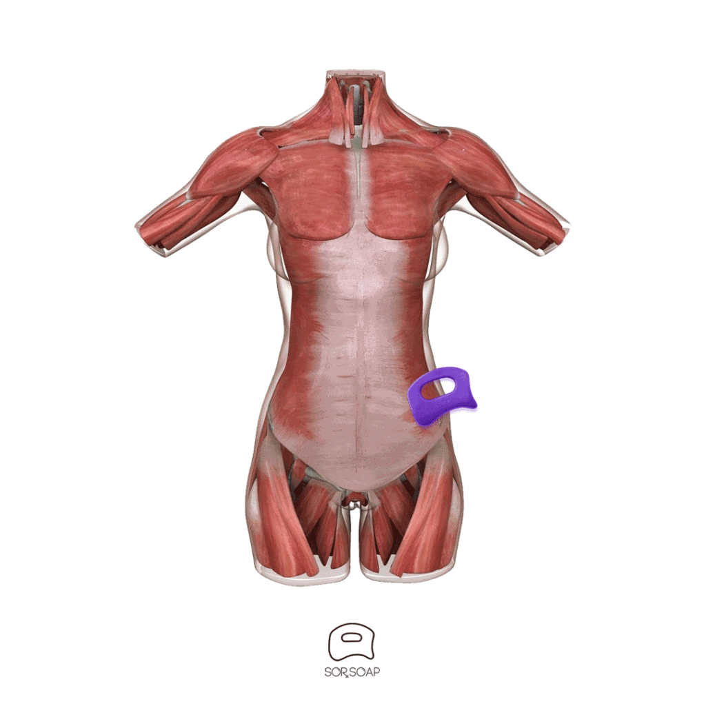 Sorsoap right_hip